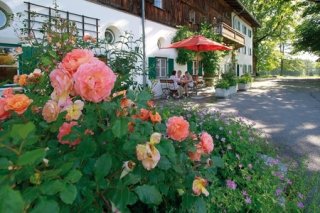 Bild 3 Langau
