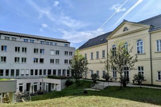 Bild Kardinal König