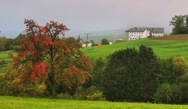 Bild Lutzenberg 01