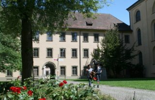 Bild Weingarten